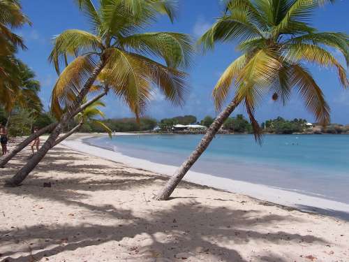 Beach Martinique Caribbean French Tourism Sky