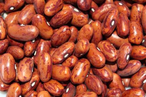 Beans Red Nutrition Delicious Background