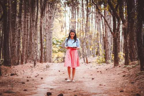 Beautiful Dress Girl Outdoors Person Reading Road