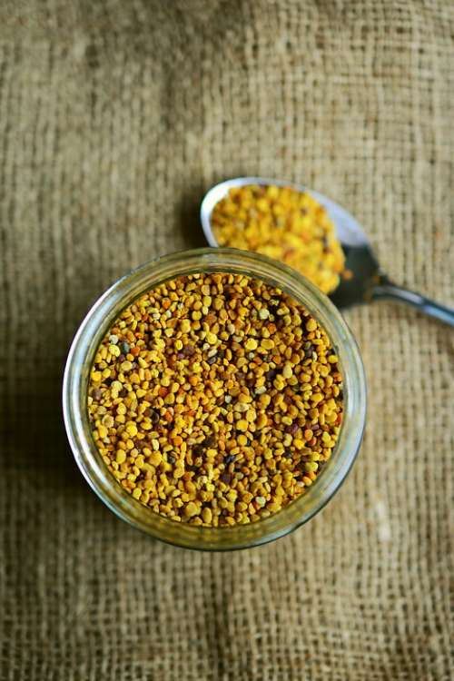 Bee Pollen Pollen Natural Product Bees Product