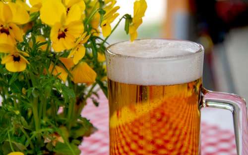 Beer Glass Drink Beer Garden Refreshment Thirst