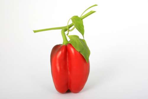 Bell Pepper Red Vegetable Pepper Raw Healthy