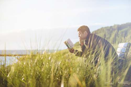 Bench Grass Man Person Reading Alone