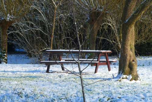 Bench Forest Snow Winter Cold Landscape Nature