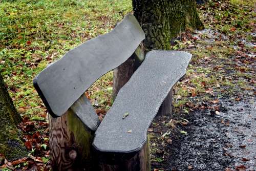 Bench Park Autumn Seat Tranquility Relax Wood