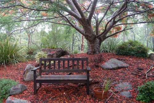 Bench Seat Relaxation Outside Peaceful Resting