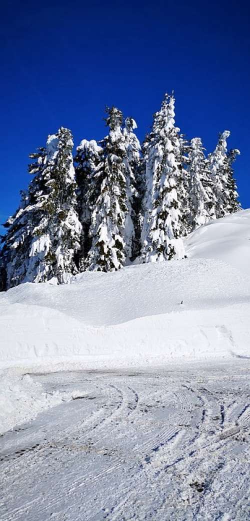 Berchtesgaden Rosfeld Panoramic Road Winter Snow