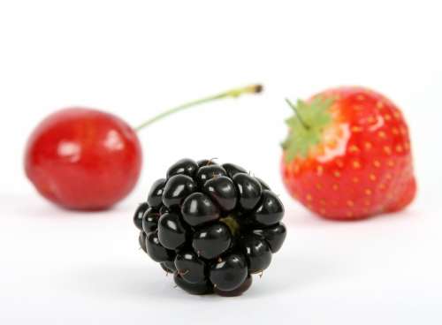 Berry Blackberry Fruit Food Fresh Organic Snack