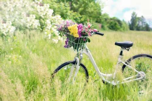 Bicycle Meadow Flowers Grass Bike Spring Green