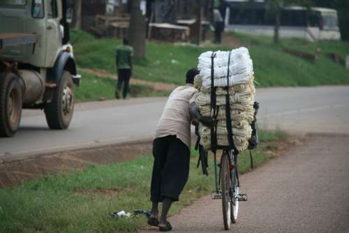 Bike Cargo Transport Africa Uganda Work Force