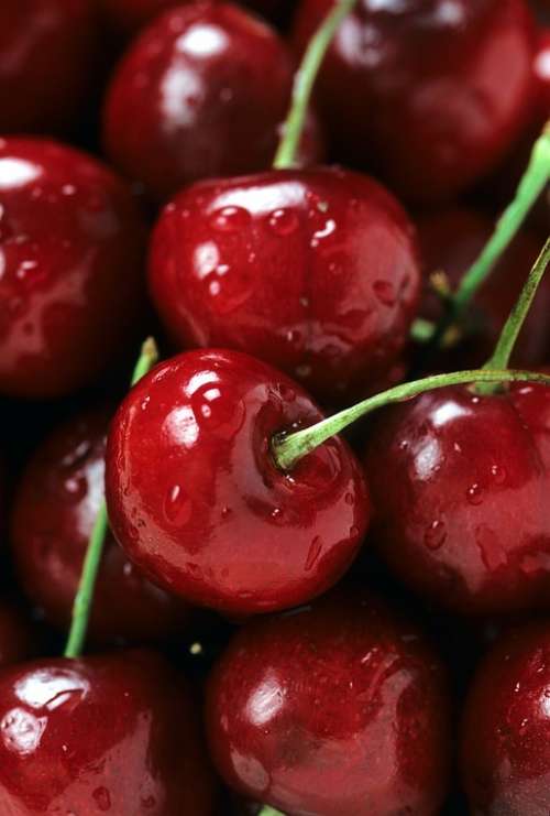 Bing Cherries Cherries Fruit Red Berries Ripe