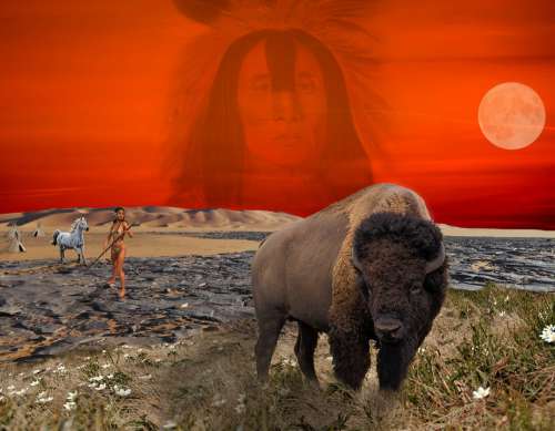 Bison Warrior Mountain Horse Grass Rocks Sunset