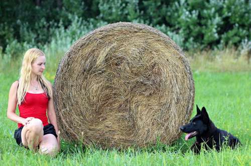 Black German Shepherd Blonde Woman Friendship Game