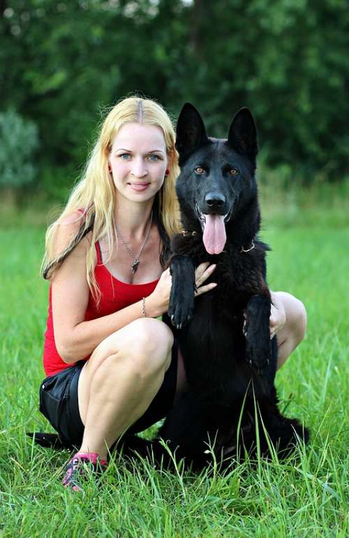 Black German Shepherd Dog Blonde Woman Friendship