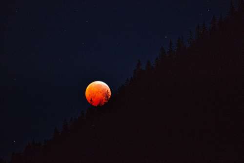 Blood Moon Moon Lunar Eclipse 2019 Night Dark