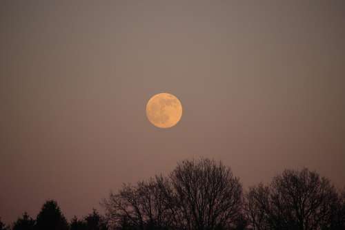 Blood Moon Atmosphere Starry Sky Moonlight Night