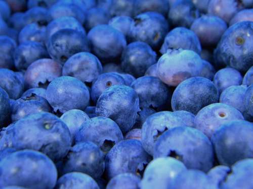 Blueberries Blueberry Fruit Food Fresh Organic
