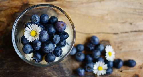 Blueberries Dessert Fruit Fruits Blue Berries