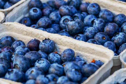 Blueberries Berries Fruit Healthy Food Vitamins