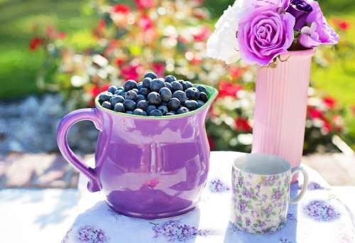 Blueberries Summer Fruit Fresh Healthy Sweet