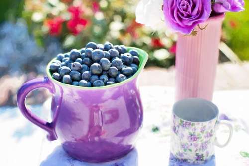 Blueberries Summer Fruit Fresh Healthy Sweet