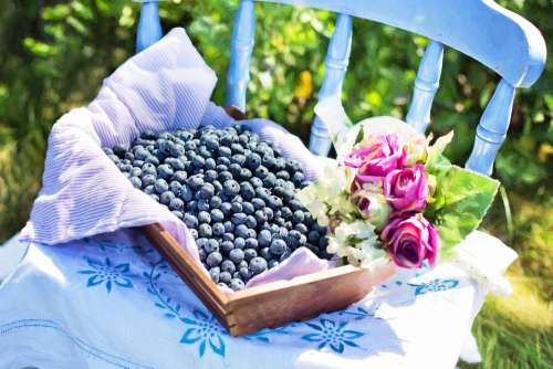 Blueberries Summer Fruit Healthy Fresh Sweet