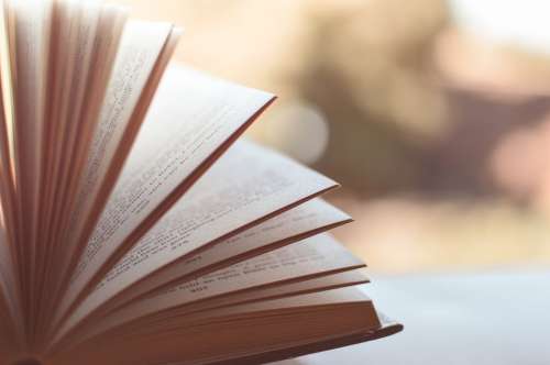 Blur Blurred Book Book Pages Literature Knowledge