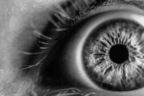 Blur Close-Up Eye Eye Lashes Iris Macro