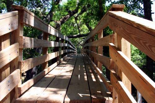 Boardwalk Wood Nature Walkway Path Recreation