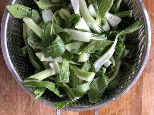 Bok Choy Greens Cabbage Vegetable Organic Healthy