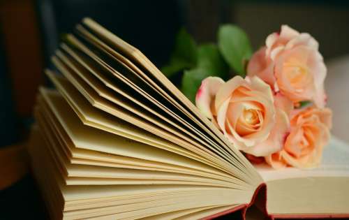 Book Book Pages Read Roses Romantic Literature