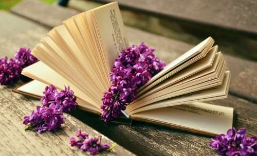 Book Read Relax Lilac Bank Old Book Pages Rest