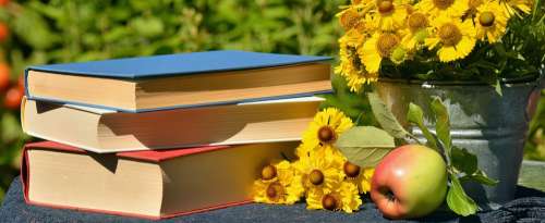 Books Read Garden Sun Brews Apple Literature