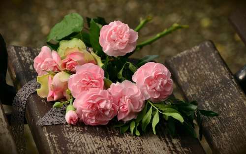 Bouquet Cloves Roses Romantic Birthday Bouquet