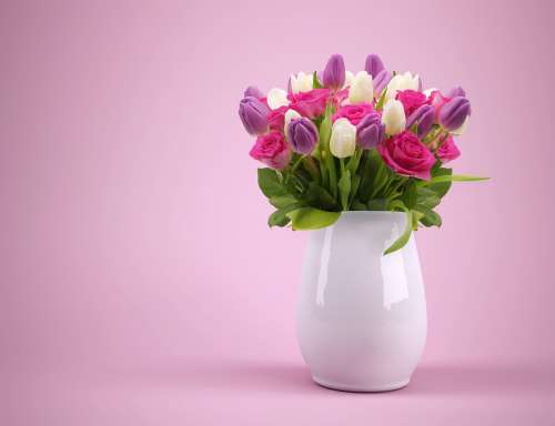 Bouquet Vase Flowers Flowerpot Tulips Colorful