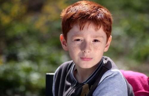 Boy Red Hair Freckles Portrait