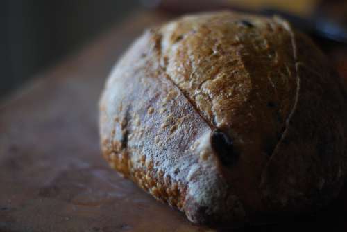 Bread Artisan Bakery Food Sourdough Wheat Loaf