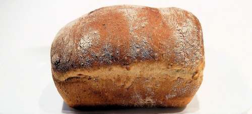 Bread Loaf Mini Multi Grain Oats Corn Wheat