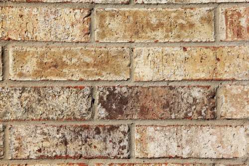Bricks Beige Brown Wall Brick Architecture