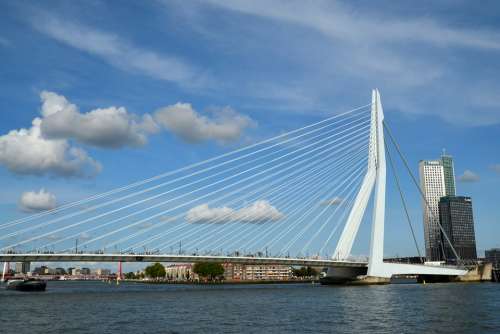 Bridge Architecture Water City Rotterdam