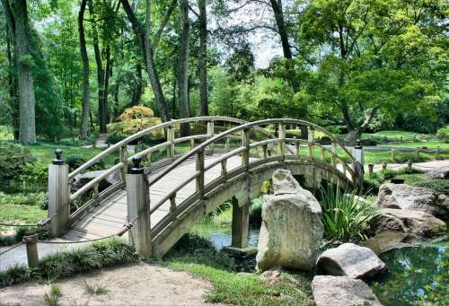 Bridge Japanese Garden Arch Park Gardening Green
