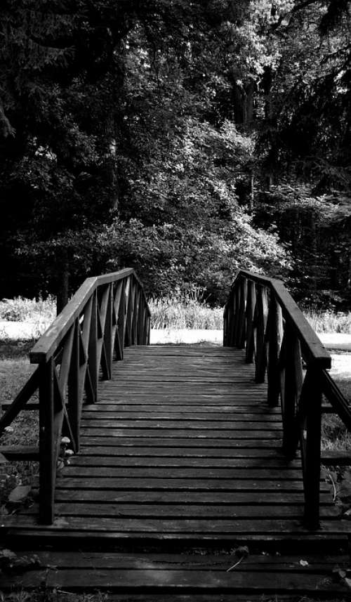 Bridge Wooden Black And White Nature Trees