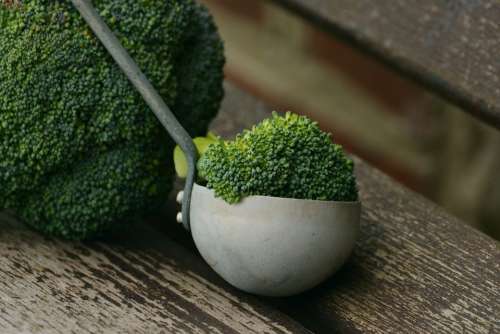Broccoli Vegetables Healthy Cook Nutrition Fresh