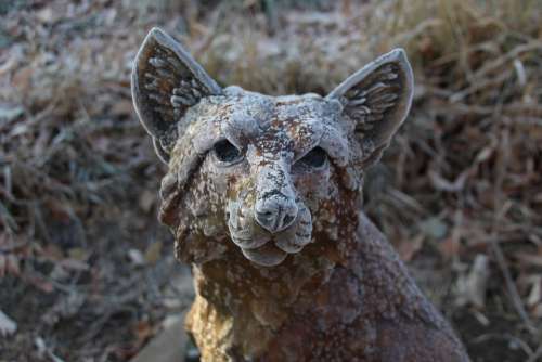 Bronze Sculpture Frost Artwork Statue Fox