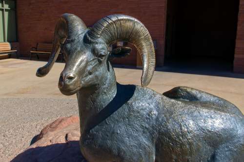 Bronze Desert Bighorn Ram Bronze Statue Desert