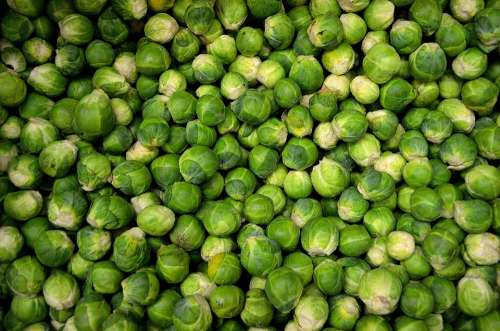 Brussels Sprouts Vegetables Sprouts Cabbage Grocery