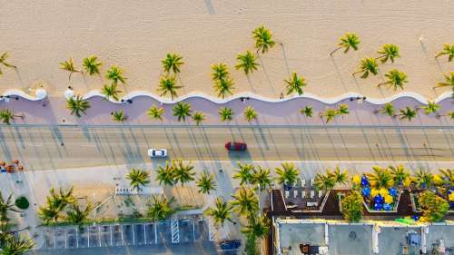 Buildings Cars Palm Trees Road Sand Top View