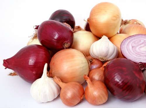 Bulb Onions Diet Flavor Food Garlic Herbs