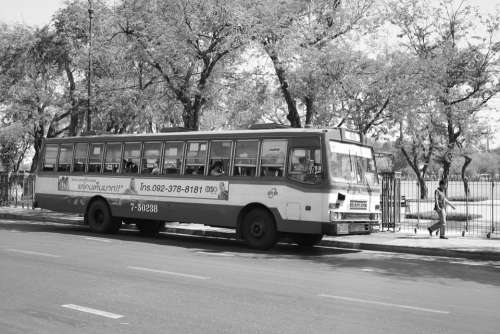 Bus Black White Transport Transportation Road