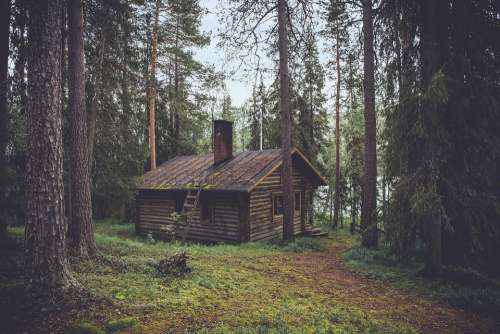 Cabin Forest Seclusion Outdoor Cottage House